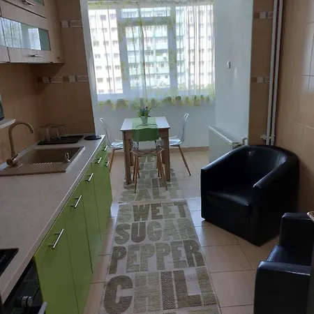 Apartament Central Renovat 3