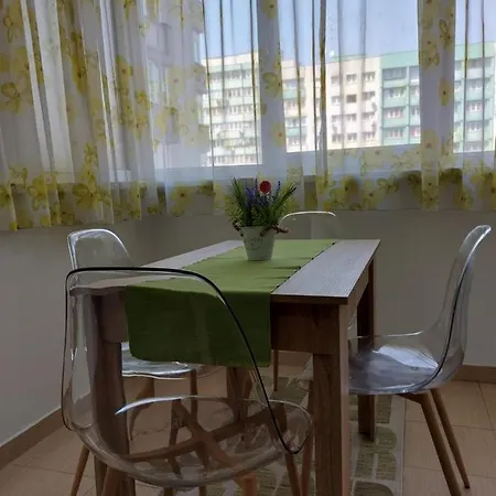 Apartament Central Renovat 3 Appartement